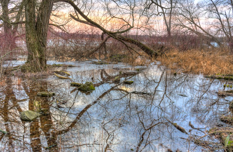 All that snow is finally melting.  Soon enough the trees will no longer be barren.