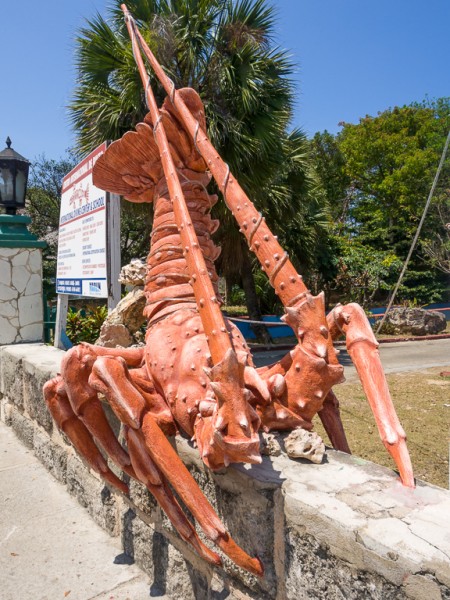 The Baracuda Restuarant