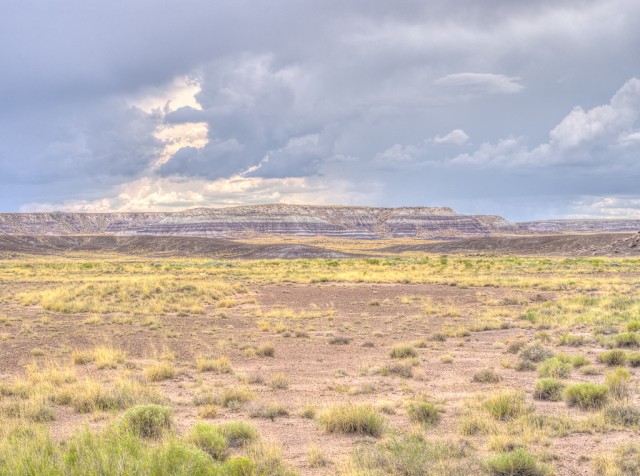 Petrified Forest and Painted Desert, Arizona