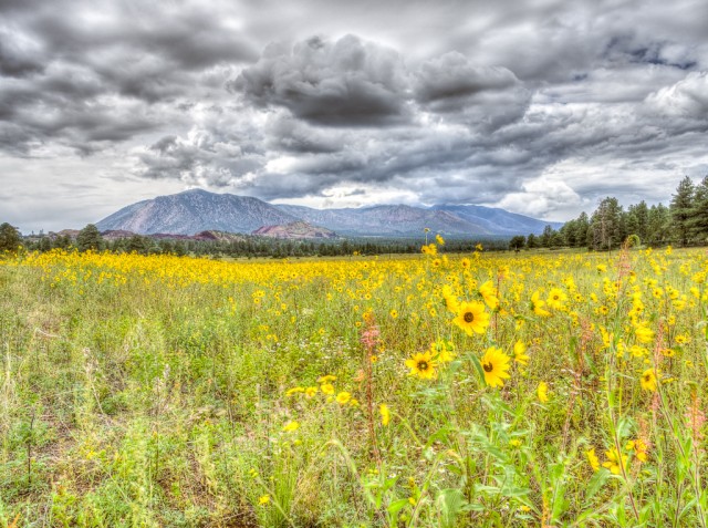 W Route 66, Flagstaff, Arizona