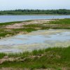 Malpeque Bay, PEI