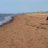 Thunder Cove Beach, PEI