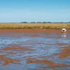 Mud Flats, Wolfville, Nova Scotia