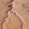 Mud Flats, Wolfville, Nova Scotia