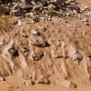 Mud Flats, Wolfville, Nova Scotia