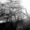 20150418-17-22-PENTAX Q10-02 STANDARD ZOOM-56.JPG