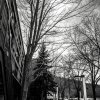 20161111-0459-DMC-LX100--50