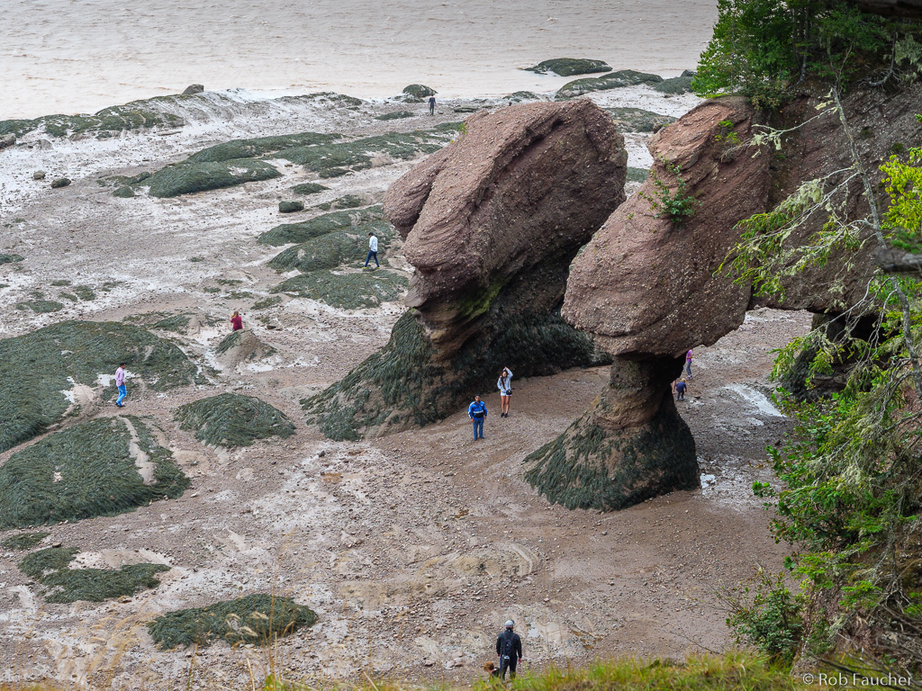 Hopewell Rocks Tide Chart