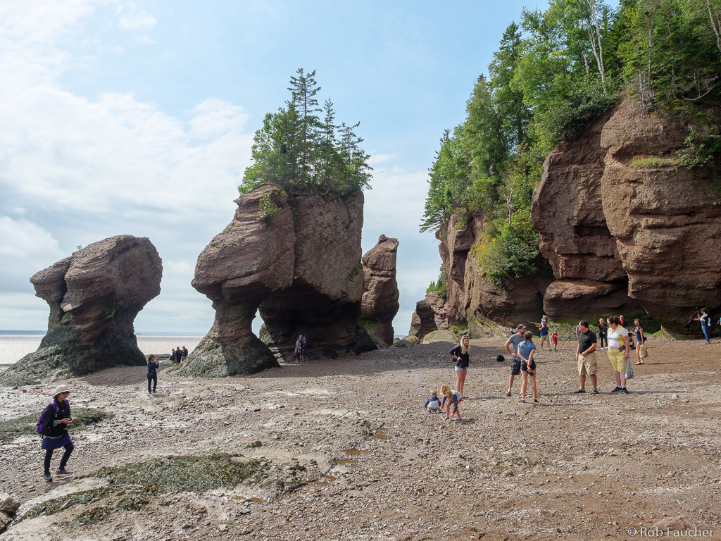 Hopewell Rocks Tide Chart