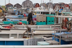 OLYMPUS DIGITAL CAMERA OLYMPUS DIGITAL CAMERA