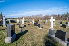 20201111-143846-ILCE-7M3-5 20201111-143846-ILCE-7M3-5