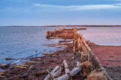 20201111-173714-ILCE-7M3-12 20201111-173714-ILCE-7M3-12