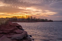 20201111-173736-ILCE-7M3-13 20201111-173736-ILCE-7M3-13