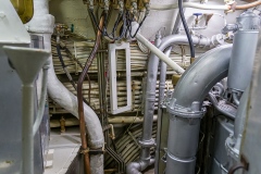 20221029-120213-ILCE-7M3-27 20221029-120213-ILCE-7M3-27