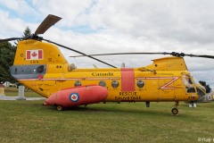 Labrador, CH113 Labrador, CH113