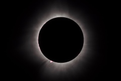 20240408-165031-DC-G9-4 20240408-165031-DC-G9-4