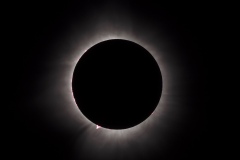20240408-165034-DC-G9-5 20240408-165034-DC-G9-5