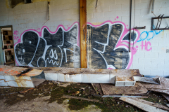 DSC04147 DSC04147