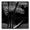 Harold Parker State Park, North Andover, Massachusetts