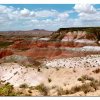 painted-desert