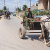 CÃ¡rdenas, Provincia de Matanzas, RepÃºblica de Cuba