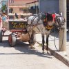 CÃ¡rdenas, Provincia de Matanzas, RepÃºblica de Cuba