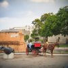 Cuba, Ciudad de La Habana, Provincia de Ciudad de La Habana, RepÃºblica de Cuba