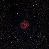 cocoon-nebula