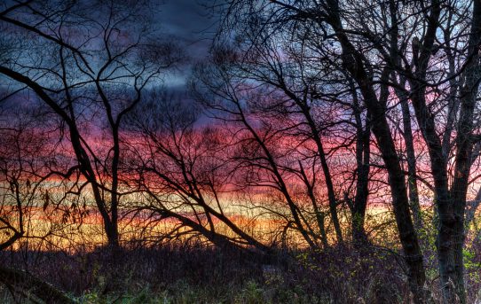 October 11, 2012.  Lynde Shores Conservation Area, Whitby, Ontario