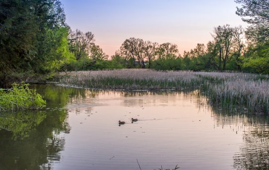 Lynde Shores Conservation Area