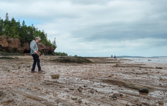 Sept 3, 2018. Hopewell Rocks Windy Video