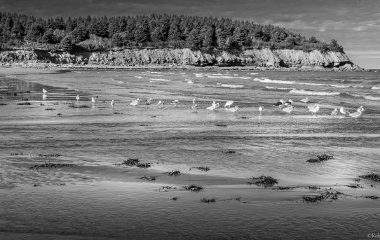 Oct 21, Cavendish Beach, PEI