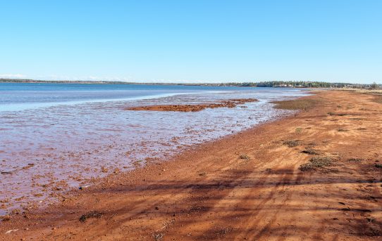 Tracadie Bay, PEI