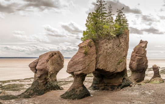 Sept 14, 2020 - Hopewell Rocks, New Brunswick