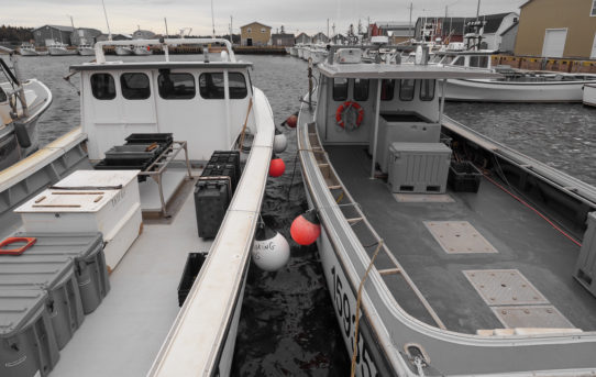 June 26, 2021 - Malpeque Harbour