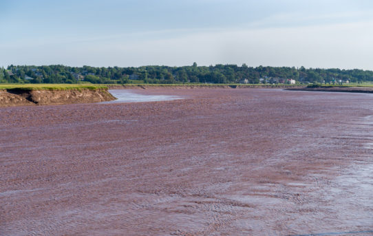 Aug 17, 2021 - Moncton's "Chocolate River"