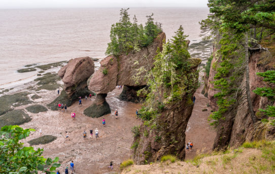 July 18, 2021 - Hopewell Rocks Revisited