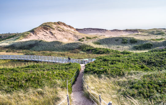 Oct 10, 2021 - Greenwich, PEI National Park